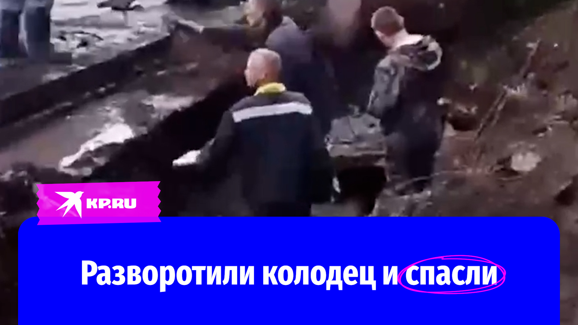 Коммунальщики разворотили колодец, чтобы спасти собаку