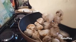 шампиньоны в сливках.