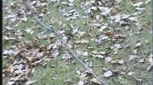 I feel fantastic FUL VERSION