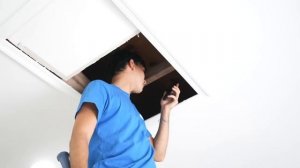 SOMEONE IS LIVING IN OUR ATTIC..