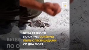 Восстановление Аральского моря 1