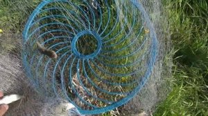 кастинговая сеть. рыбалка