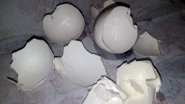 Вы больше никогда не будете выбрасывать яичную скорлупу, посмотрев это видео!