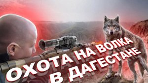 Выстрел по ВОЛКУ на дне ущелья! Охота на волков в ДАГЕСТАНЕ
