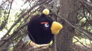 Angry Birds Plush Adventures - Episode 1