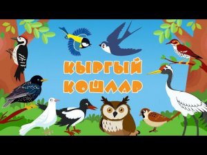 БӘБИ СҮЗ: Кыргый кошлар / Дикие птицы / Изучаем животных и птиц