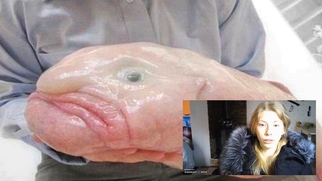 Рыба-капля: Самое несчастное существо во Вселенной смотреть онлайн