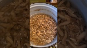 Грузди горячим посолом на зиму ( вкусная закуска)