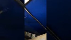 ПОКРАСКА ДНИЩА КАТЕРА.