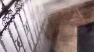 Насадка Помпа для триммера