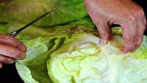 Запеченные голубцы в сметанном соусе