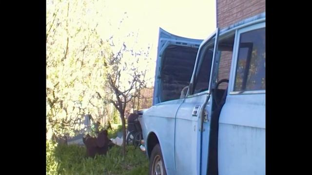 Москвич завелся смотреть онлайн