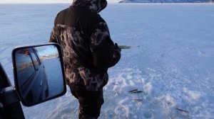 Зимняя рыбалка Магадан 2021. Бухта Гертнера.