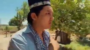 Sayfulloni izlab 23-qism. Dalada ishkal. Albatta ko'ring. Kanalga obuna bo'ling