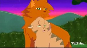Коты воители  Огнезвёзд и Песчаная Буря(я знаю  где живёт 
Любовь