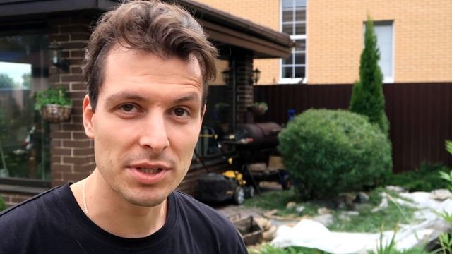 ШАР ИЗ ИВЫ, КУБ ИЗ ТУИ: ФИГУРНАЯ ОБРЕЗКА КУСТАРНИКОВ И ЧТО ИЗ ЭТОГО ВЫШЛО
