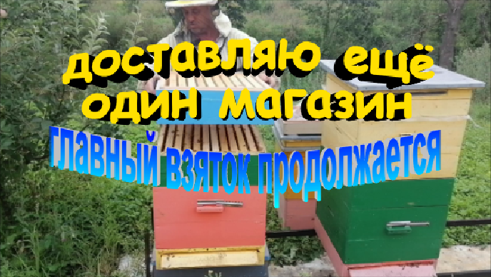 Доставляю ещё один магазин.Главный взяток продолжается смотреть онлайн