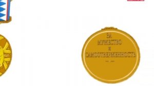 Как выглядит медаль  "За мужество"