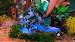 Строим секретные домики для животных - огонь, вода, воздух и земля!