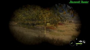 theHunter: Call of the Wild.Вуалес:Большая охота на койота.