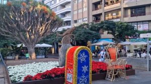 Санта-Крус-де-Тенерифе - столица острова вечной весны. Отпуск на Канарских островах. Из зимы в лето