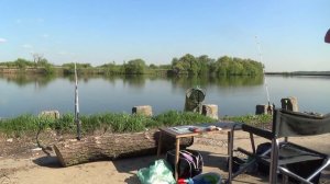 Рыбалка на Москва-реке.  Донки-кормушки-закидушки.