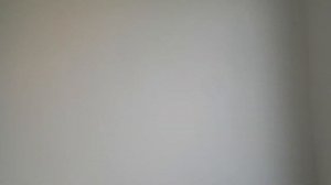 Нужна ли грунтовка стен под покраску? Подготовка стены под покраску!