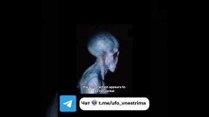 В интернете появилось сомнительное видео, где человек берёт интервью у пришельца