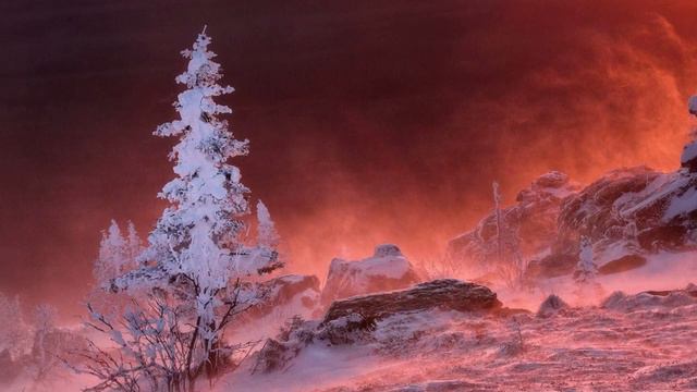 Мир иллюзий. Как остаться в реальном мире. смотреть онлайн