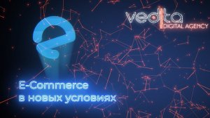 E-Commerce в новых условиях — онлайн конференция «Бизнеc24» от Digital-агентства VediTa