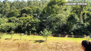 Drone s118 dual câmera | Testado e aprovado para iniciantes