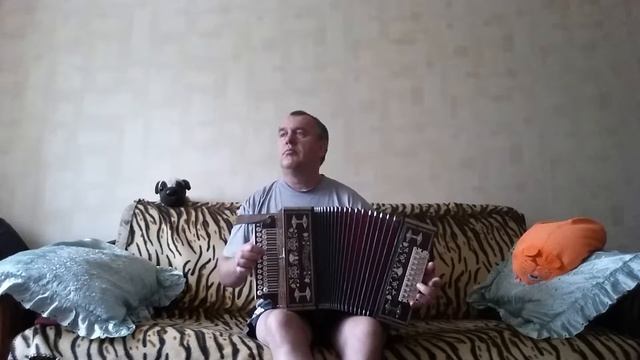 Нижегородская гармонь мастера Гнусова Ю.Н.после обслуживания и настройки.