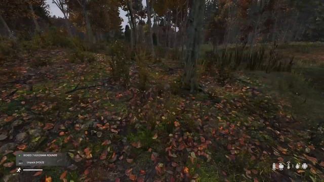 ЛУЧШИЙ ГАЙД по DayZ(Game Preview)XBOX для новичков про ОРУЖИЕ!