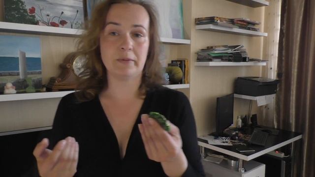 Как носить броши. Обзор вариантов, подбор по цветовой гамме.
