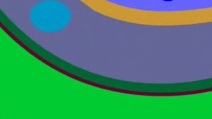 СТРУКТУРА КОРНЯ ДВУДОЛЬНЫХ РАСТЕНИЙ