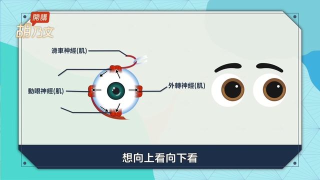 頭部做1動作可減少「飛蚊症」小黑點！眼睛痠有異物，不想得「散光」，這個動作千萬別做，看東西會出現兩個影像是什麼問題？｜胡乃文開講Dr.HU__22｜名醫談養生 смотреть онлайн