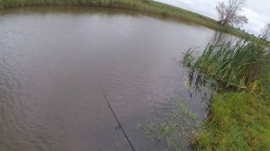 Лучшая Погода Для Ловли Щуки  ..... и соплей
