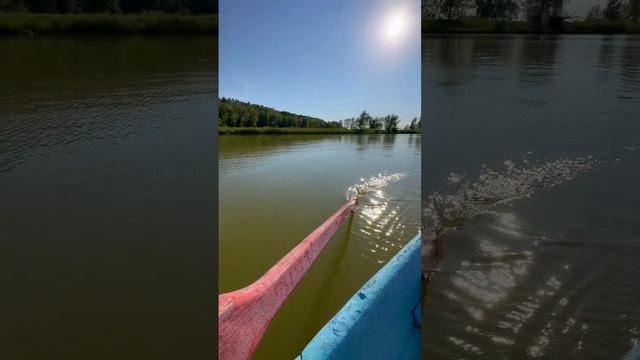 САНАТОРИЙ КОЛОС ОМСК #базаотдыха #лето2023 #отдых #отдыхающие #природа