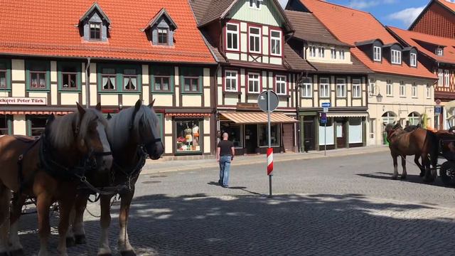 Вернигероде - самый яркий город Гарца. WERNIGERODE. HARZ.