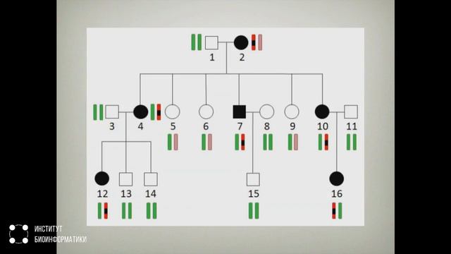2 Генетика и наследование смотреть онлайн