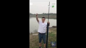 Слон и моська. #Shorts