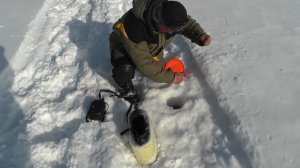 Щука на WD - 40 Миф или реальность? Рыбалка в Кондинском районе ХМАО. Щука на флажки зимой.