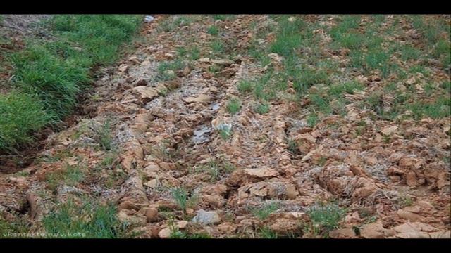 ТЕСТ НА ВНИМАТЕЛЬНОСТЬ НАЙДИ КОТА =) (СЛОЖНЫЙ) смотреть онлайн