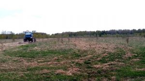 Облагораживаем поле под сенокос