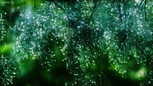 Пианино. Тихий шум дождя погружает в сладкий сон. смотреть онлайн