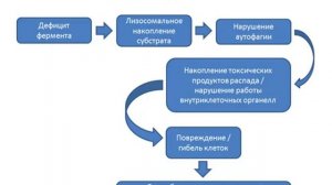 Стромально-сосудистые углеводные дистрофии
