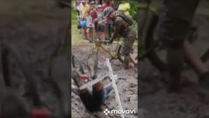 Подборка прикольных видео