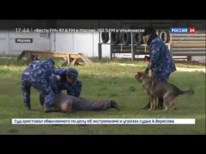Спецназ тюремного назначения: как готовят бойцов спецподразделения ФСИН
