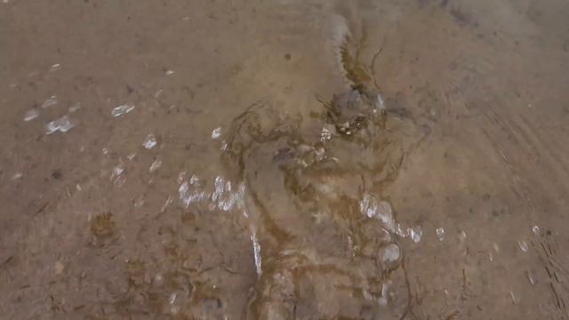 рыбалки за сентябрь 2023 смотреть онлайн