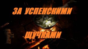 За успенскими щучками